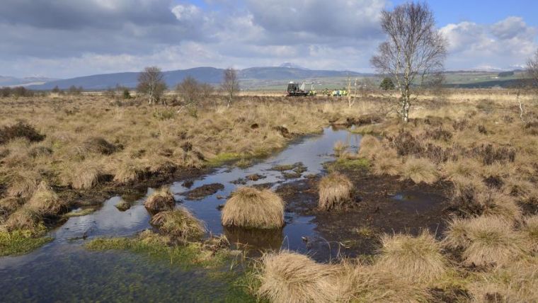 Scotland considers Lidar for forest and peatland monitoring