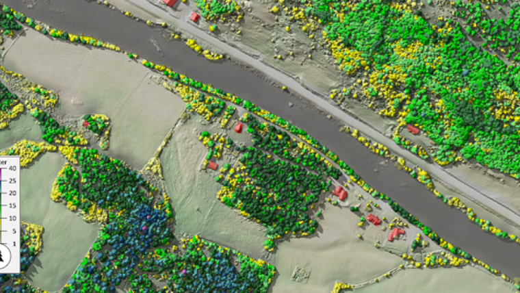 Visualizing Forest and Vegetation from Lidar data