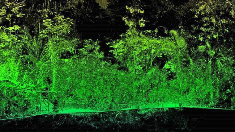 Bluesky and University of Leicester Partner in Lidar for Detailed Tree Analysis