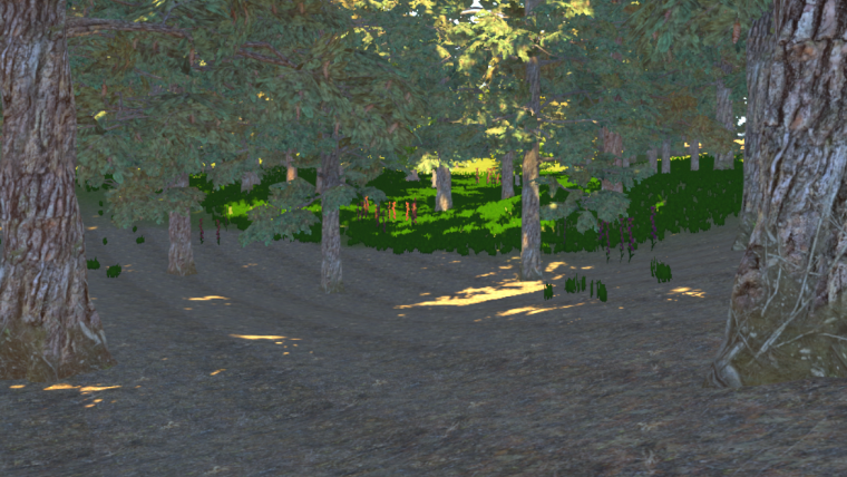 Building a 3D Virtual Forest