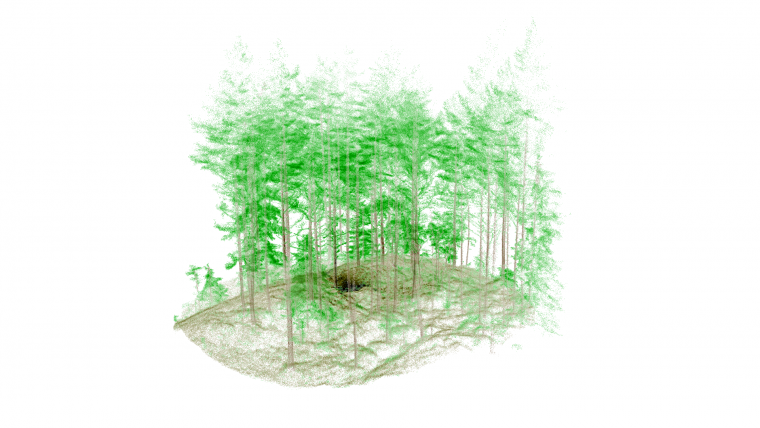 Mobile Lidar Contributes to Digital Transition of Norwegian Forestry Sector