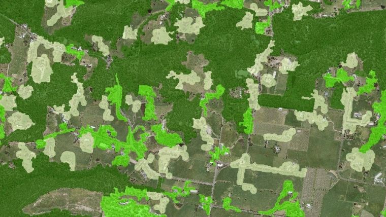 Australian State Launches Machine Learning Tree Mapping Tools