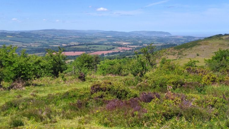 Bluesky Laser Maps Quantock Hills to Reveal Archaeological Past